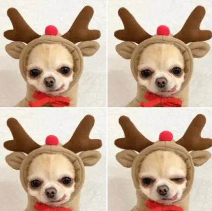 🦌 The Little Reindeer – Christmas Dog Hoodie